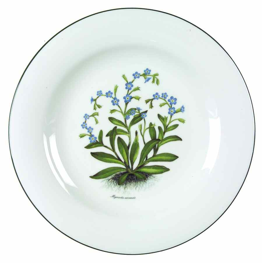 RVA20 Dinner Plate by Royal Vale-1