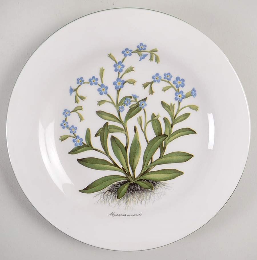 RVA20 Salad Plate by Royal Vale-1