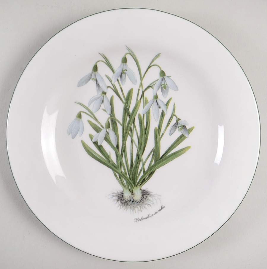 RVA20 Salad Plate by Royal Vale-1