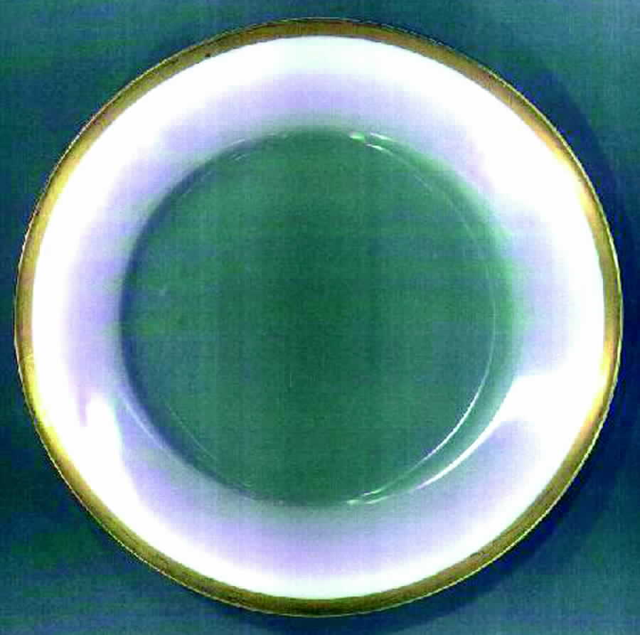 305 Dinner Plate by Rosenthal - Continental-1