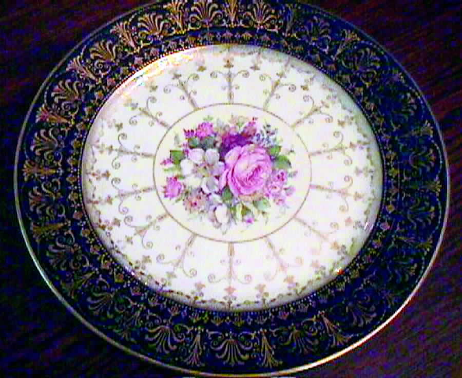 R662 Dinner Plate by Rosenthal - Continental-1