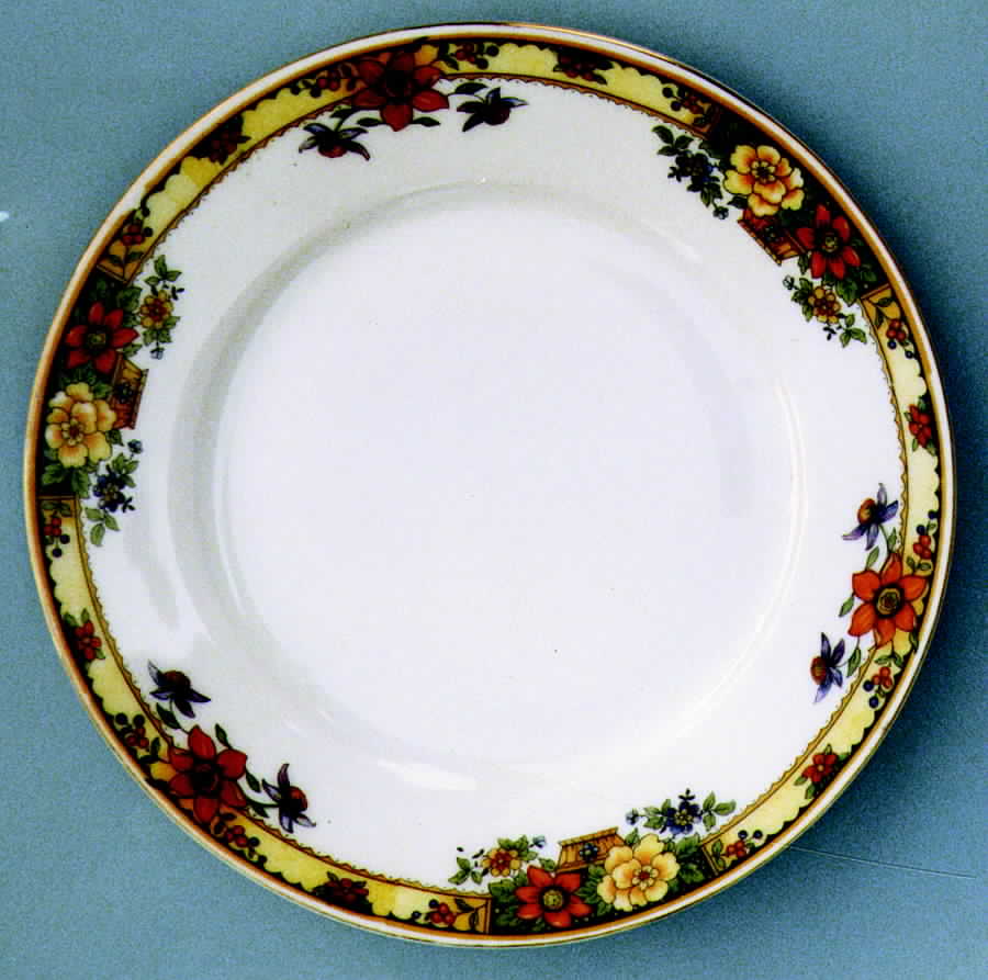 RSC24 Dinner Plate by Royal Schwarzburg-1