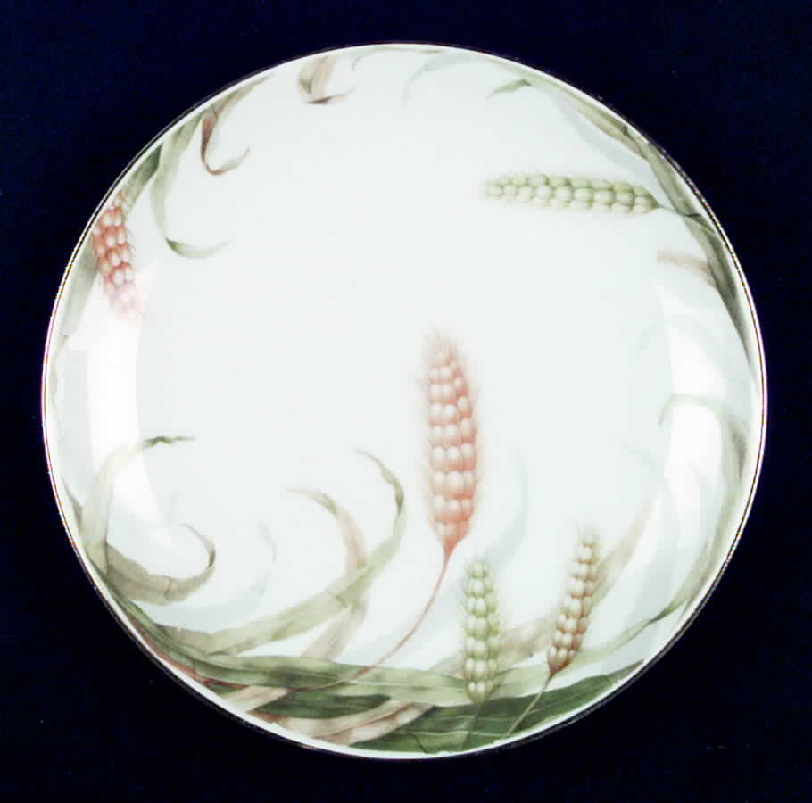 R685 Salad Plate by Rosenthal - Continental-1