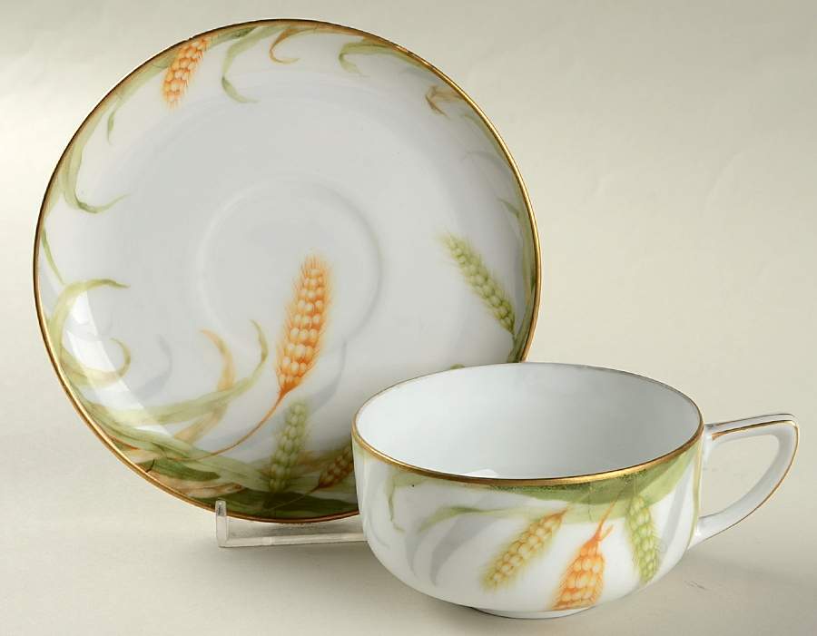 R685 Flat Cup & Saucer Set by Rosenthal - Continental-1