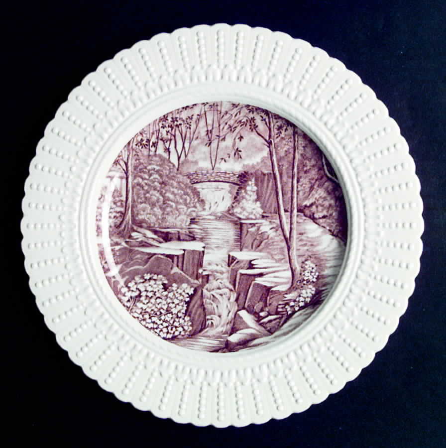 ROC66 Luncheon Plate by Royal Cauldon-1