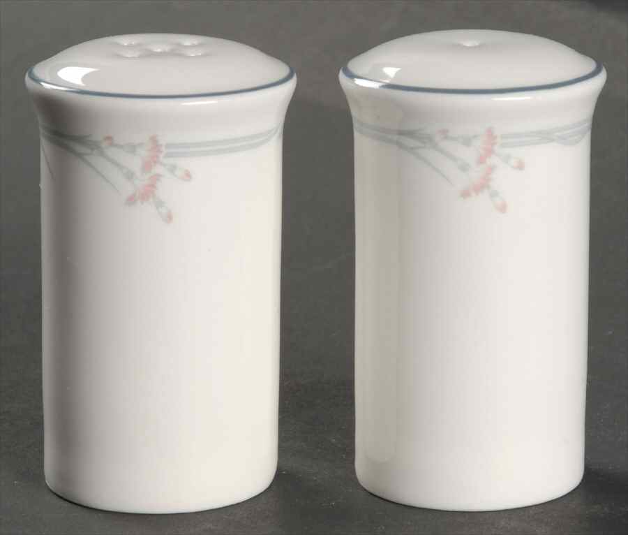 Carnation (Hotelware) Salt & Pepper Set by Royal Doulton-1