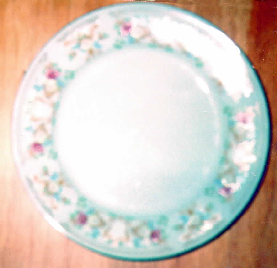 RGT3 Dinner Plate by Regent (China)-1