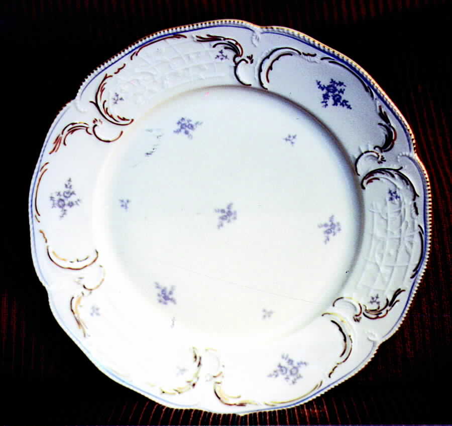 R690 Dinner Plate by Rosenthal - Continental-1