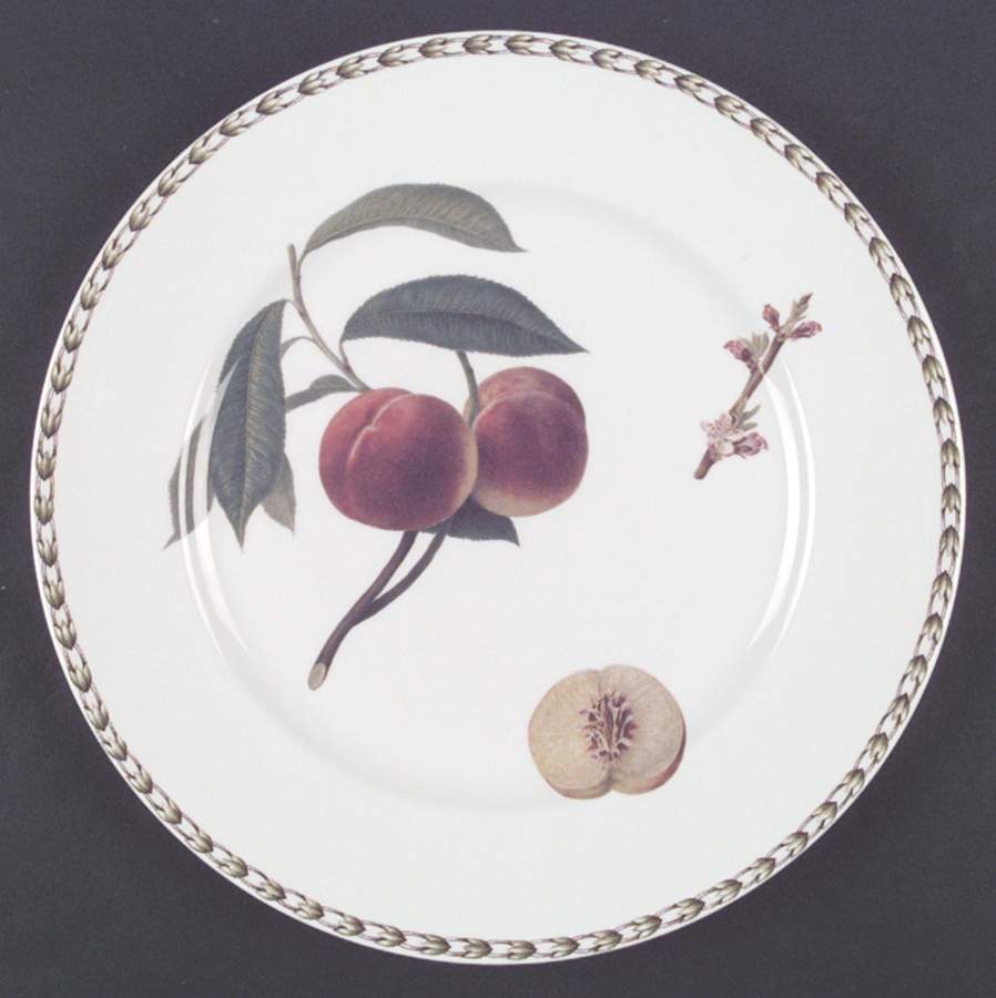 Hooker's Fruit (Bone, Not Made in England) Dinner Plate by Rosina-Queens-1