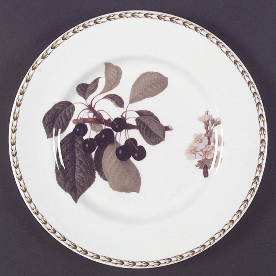 Hooker's Fruit (Bone, Not Made in England) Dinner Plate by Rosina-Queens-1