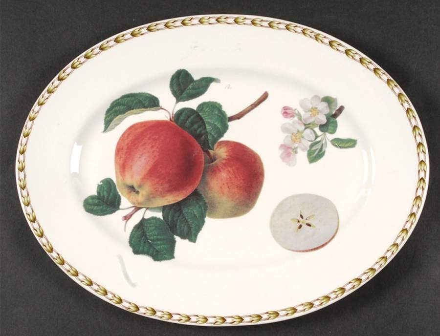 Hooker's Fruit (Bone, Not Made in England) 12" Oval Serving Platter by Rosina-Queens-1