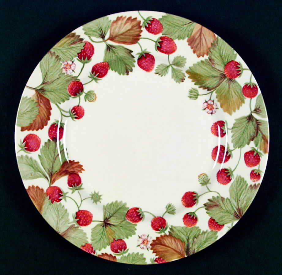 Wildberry Dinner Plate by Royal Stafford-1