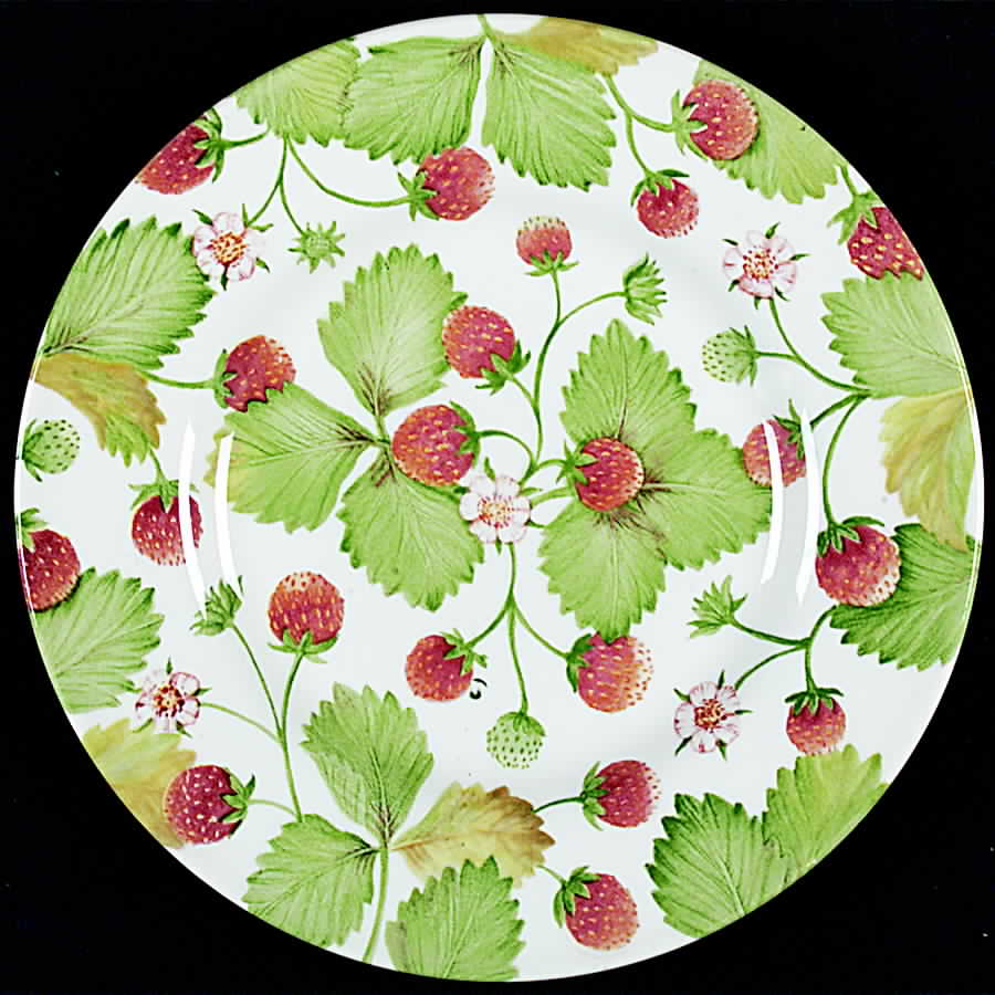 Wildberry Salad Plate by Royal Stafford-1
