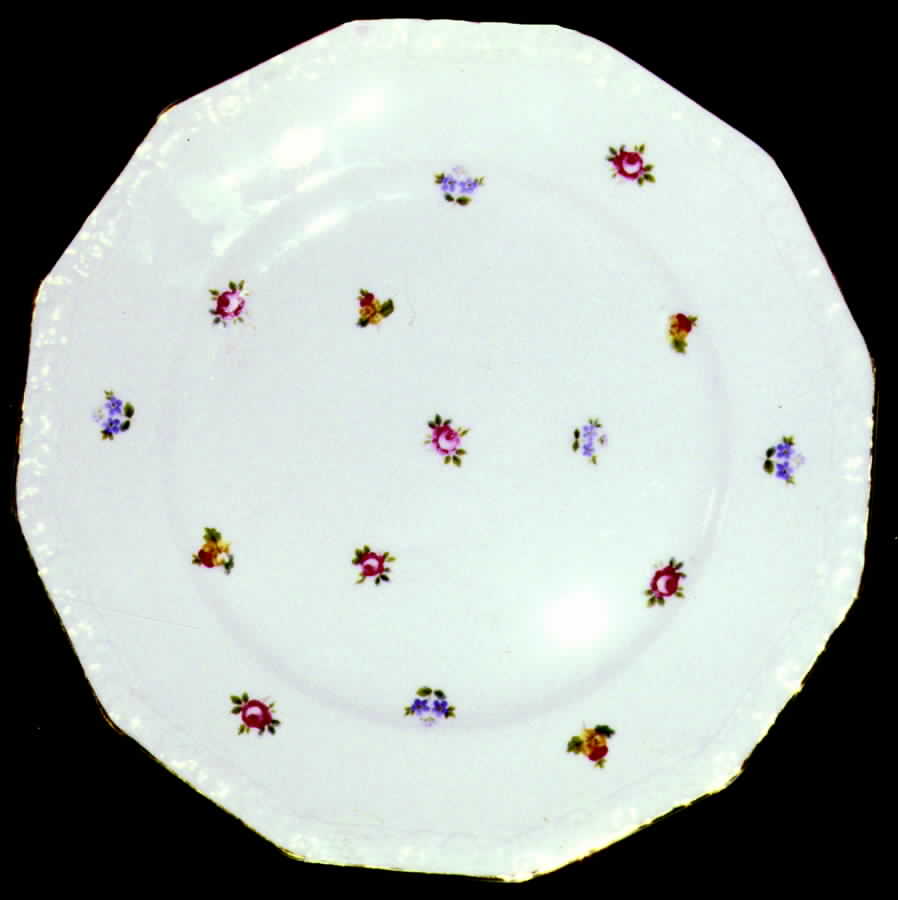 R697 Dinner Plate by Rosenthal - Continental-1