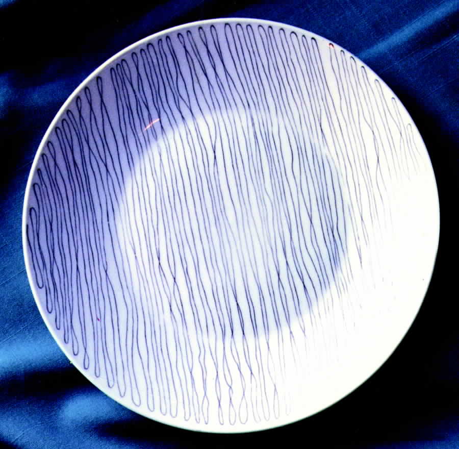 R701 Large Dinner Plate by Rosenthal - Continental-1