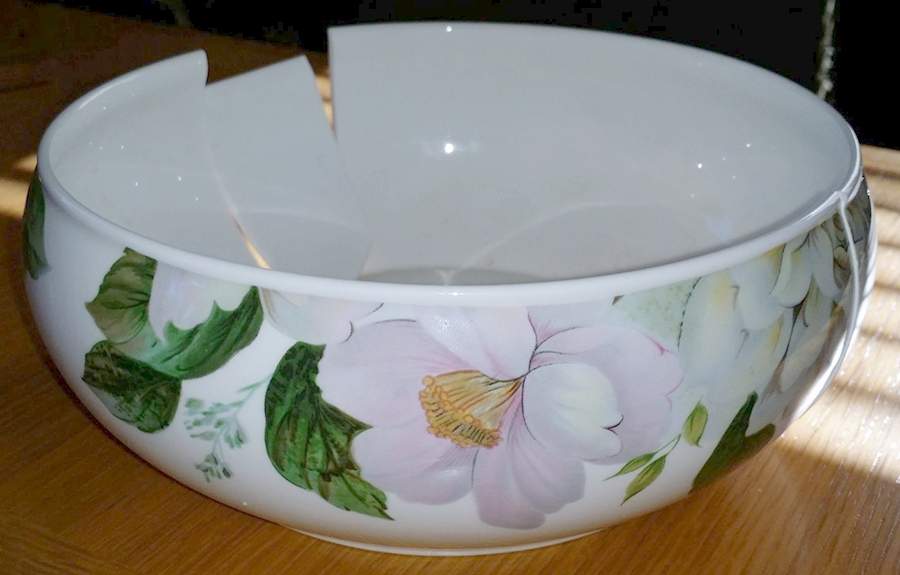 Jardin (Floral Rim) 7" Round Vegetable Bowl by Royal Stafford-1