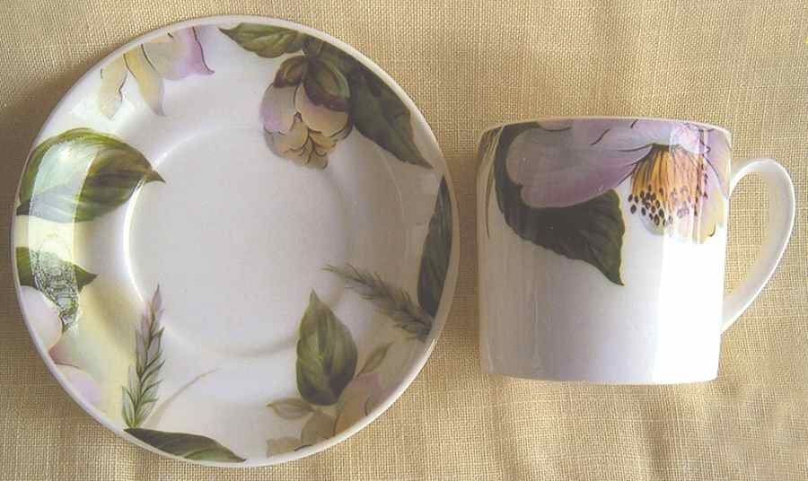Jardin (Floral Rim) Flat Cup & Saucer Set by Royal Stafford-1
