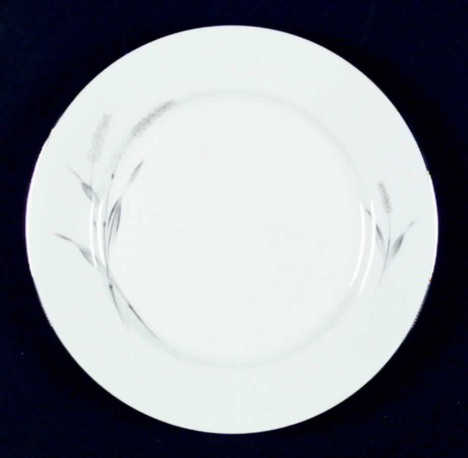 R704 Salad Plate by Rosenthal - Continental-1