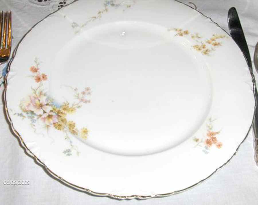 R707 Dinner Plate by Rosenthal - Continental-1