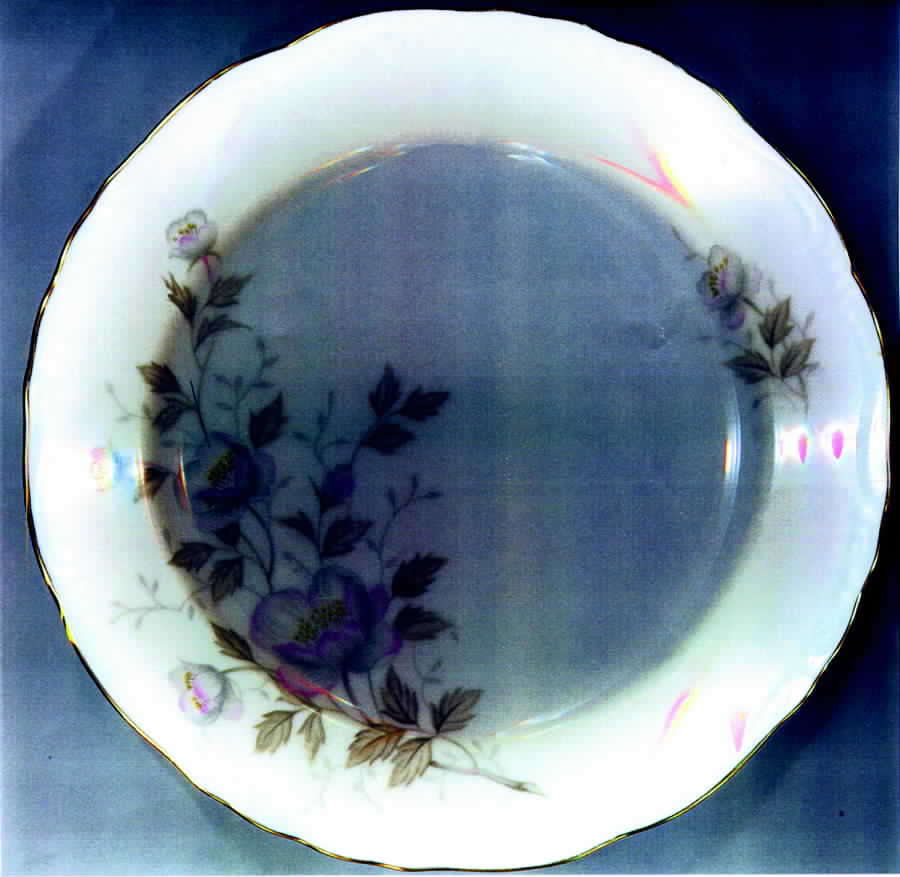 Wildrose Salad Plate by Royal M-Mita-1
