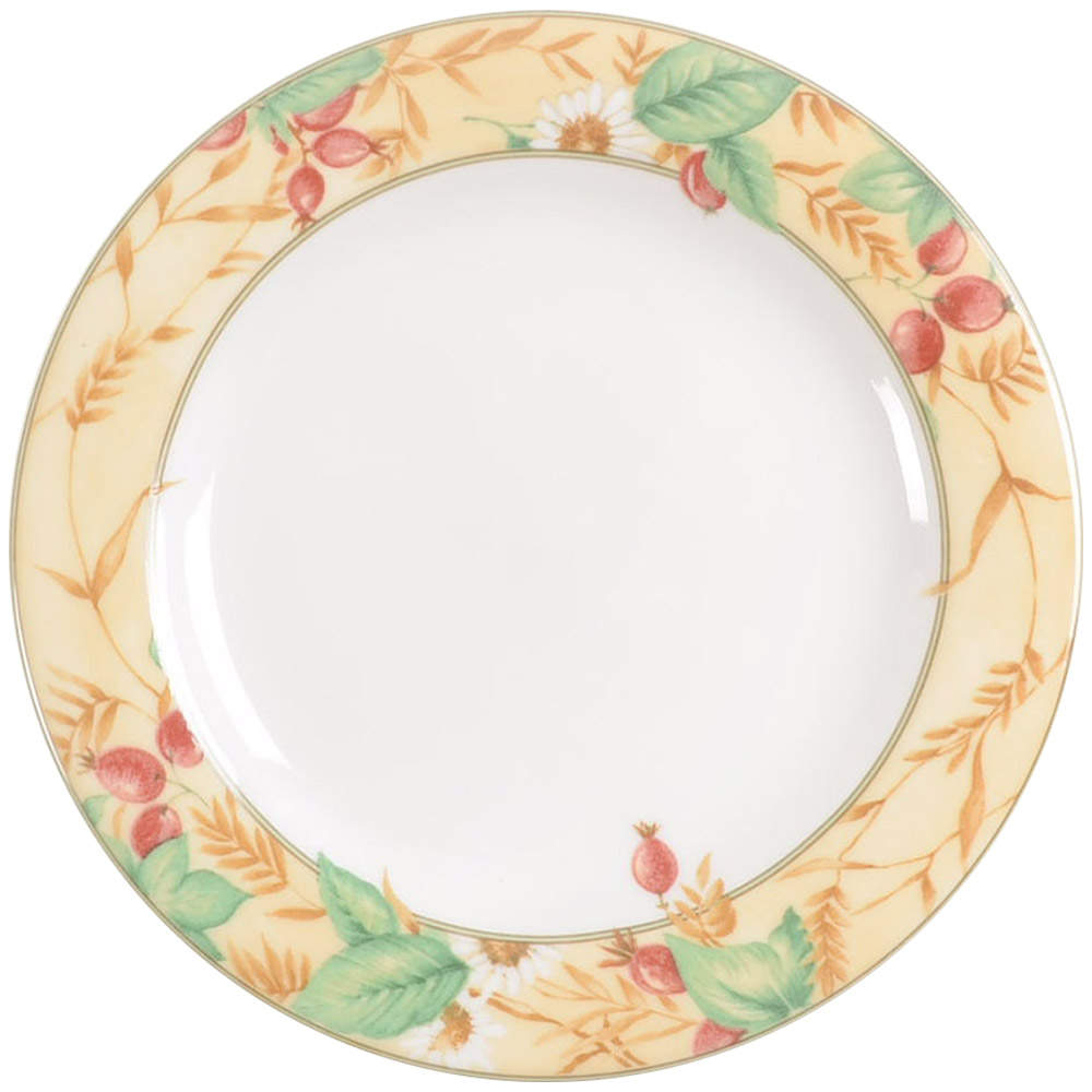 Edenfield Bread & Butter Plate by Royal Doulton-1