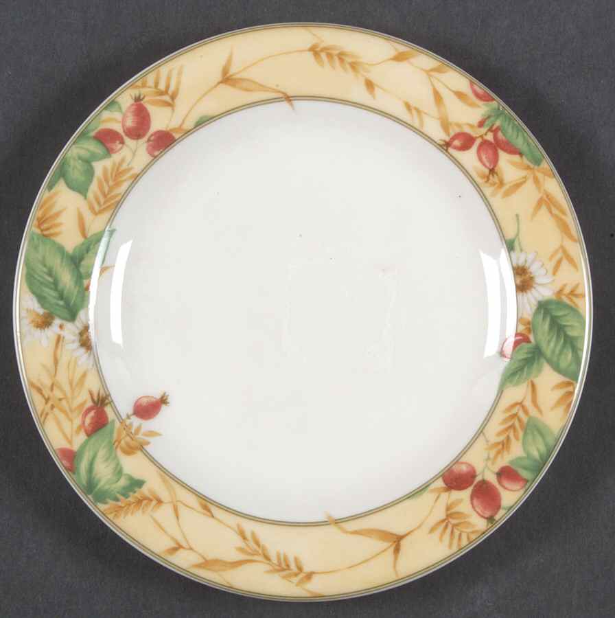 Edenfield Salad Plate by Royal Doulton-1