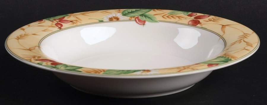 Edenfield Large Rim Soup Bowl by Royal Doulton-1