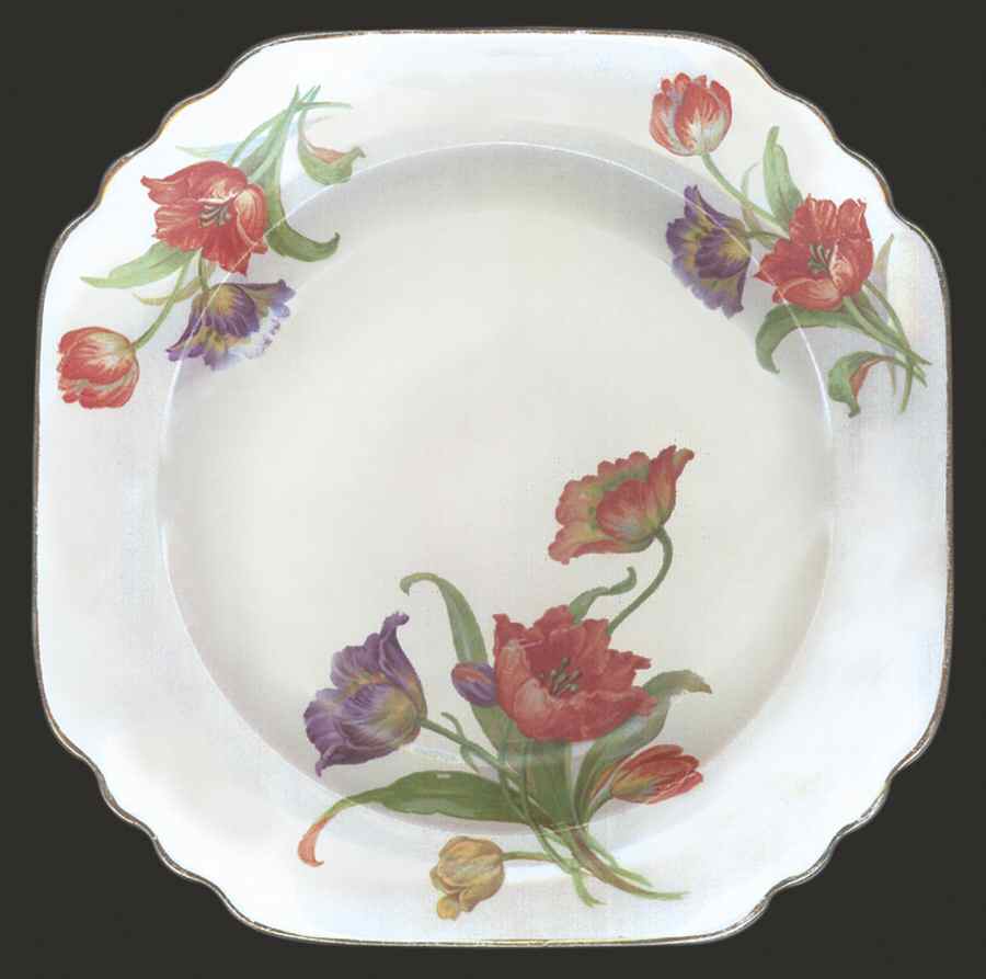 Darwin Luncheon Plate by Royal (USA)-1