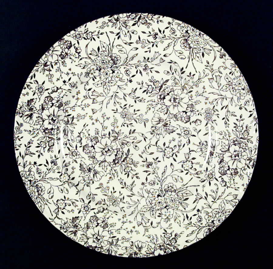 Rosemarie Brown Dinner Plate by Royal Tudor-1