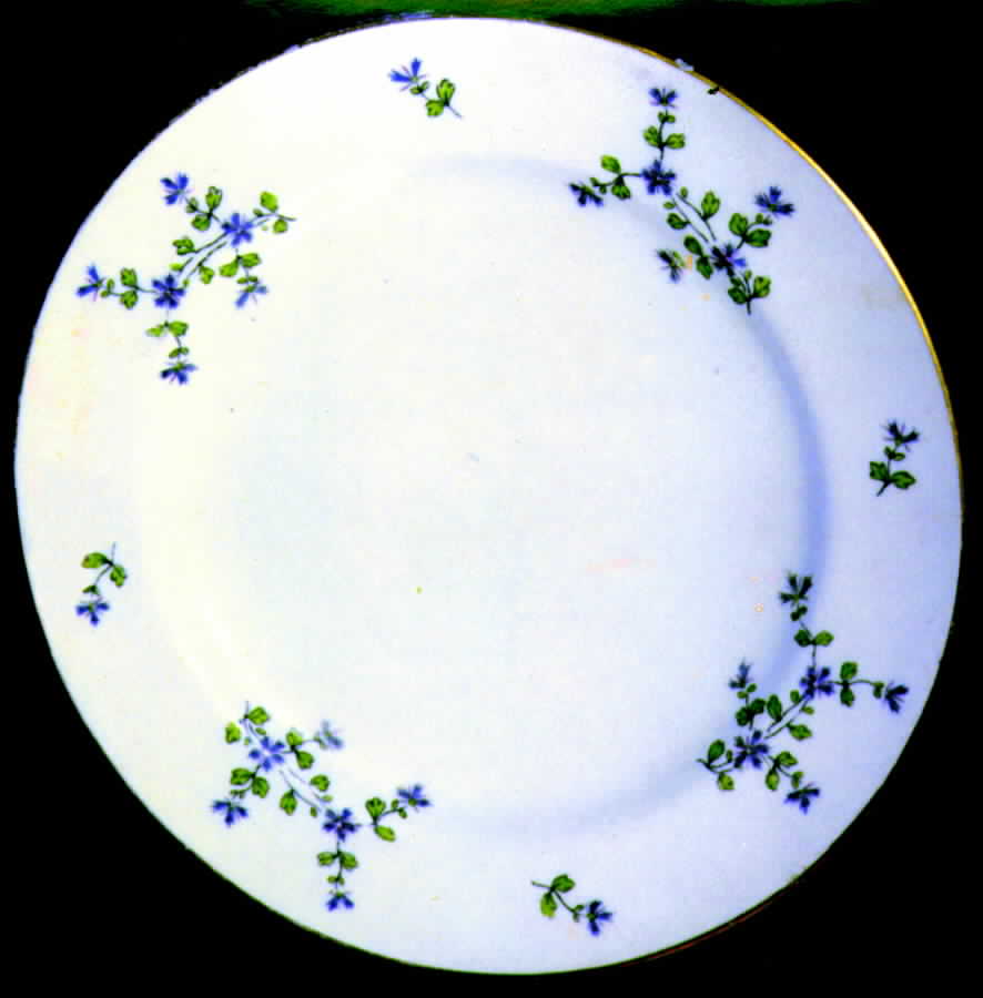 ROC74 Dinner Plate by Royal Cauldon-1