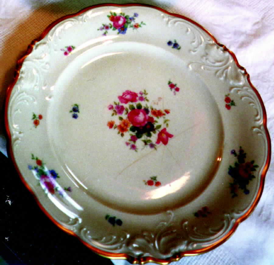 ROI26 Dinner Plate by Royal Ivory (Czech, Germany)-1