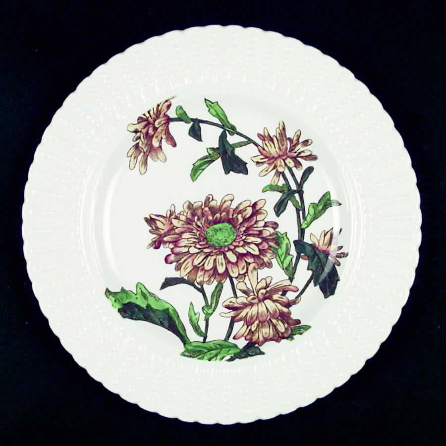 Flower Series Luncheon Plate by Royal Cauldon-1