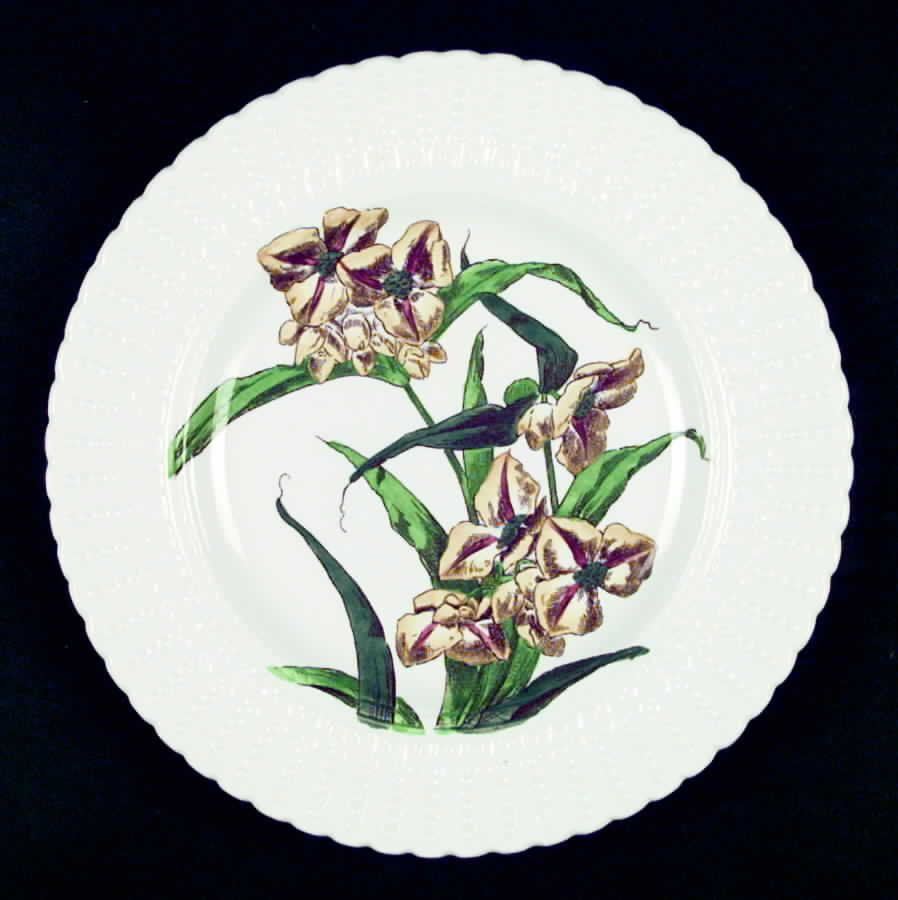 Flower Series Luncheon Plate by Royal Cauldon-1