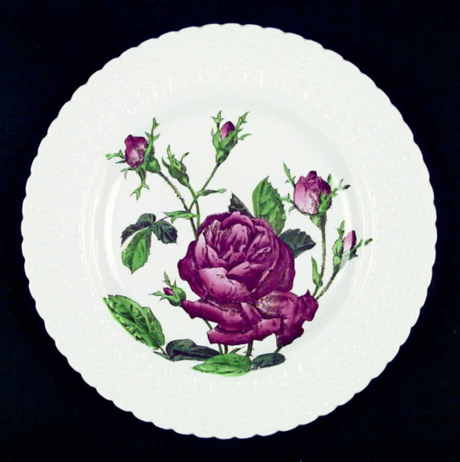 Flower Series Luncheon Plate by Royal Cauldon-1