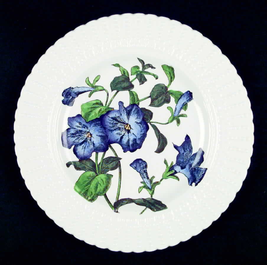 Flower Series Luncheon Plate by Royal Cauldon-1
