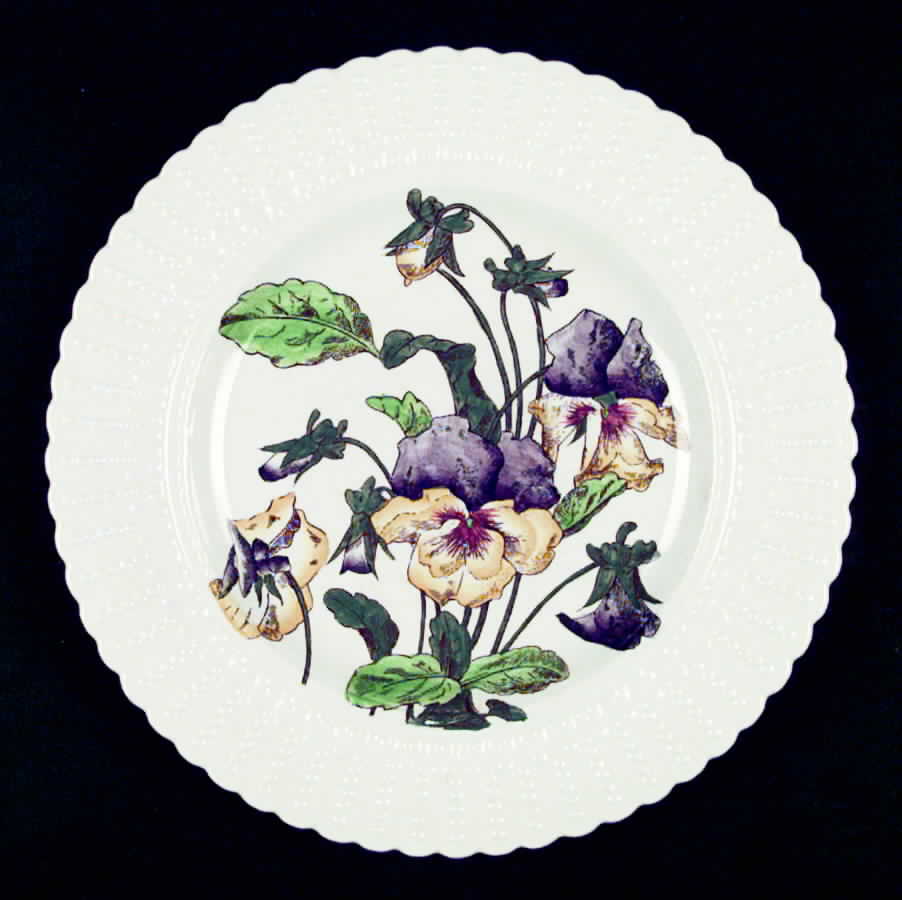 Flower Series Luncheon Plate by Royal Cauldon-1