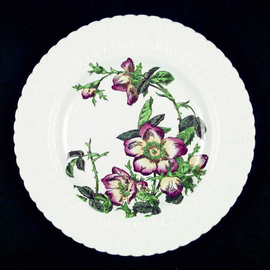 Flower Series Luncheon Plate by Royal Cauldon-1