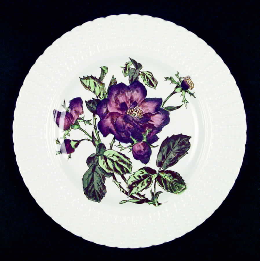 Flower Series Luncheon Plate by Royal Cauldon-1