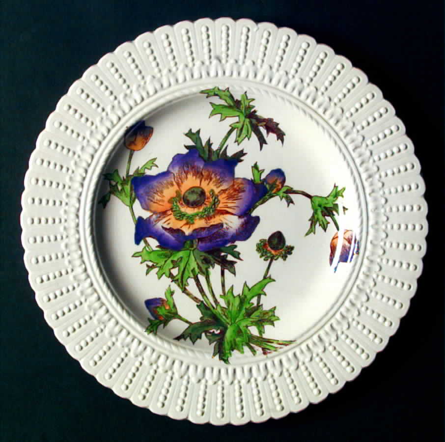 Flower Series Luncheon Plate by Royal Cauldon-1