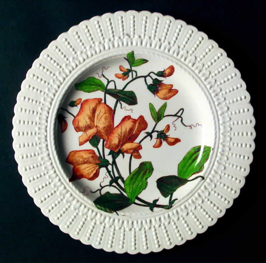 Flower Series Luncheon Plate by Royal Cauldon-1
