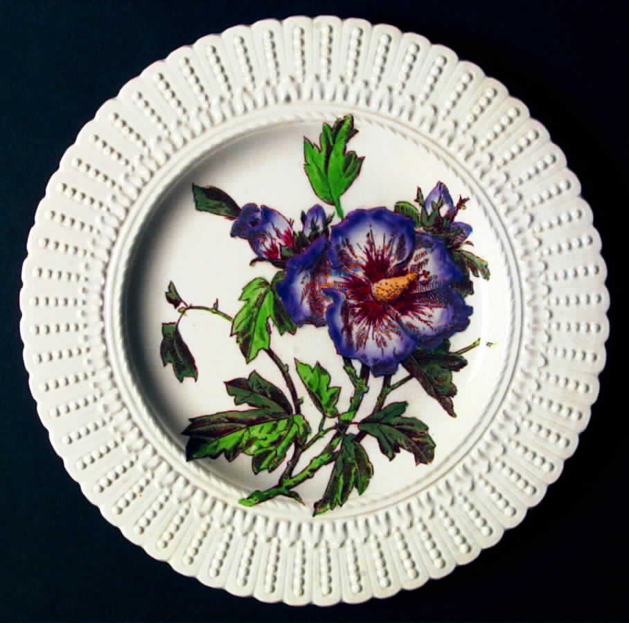 Flower Series Luncheon Plate by Royal Cauldon-1