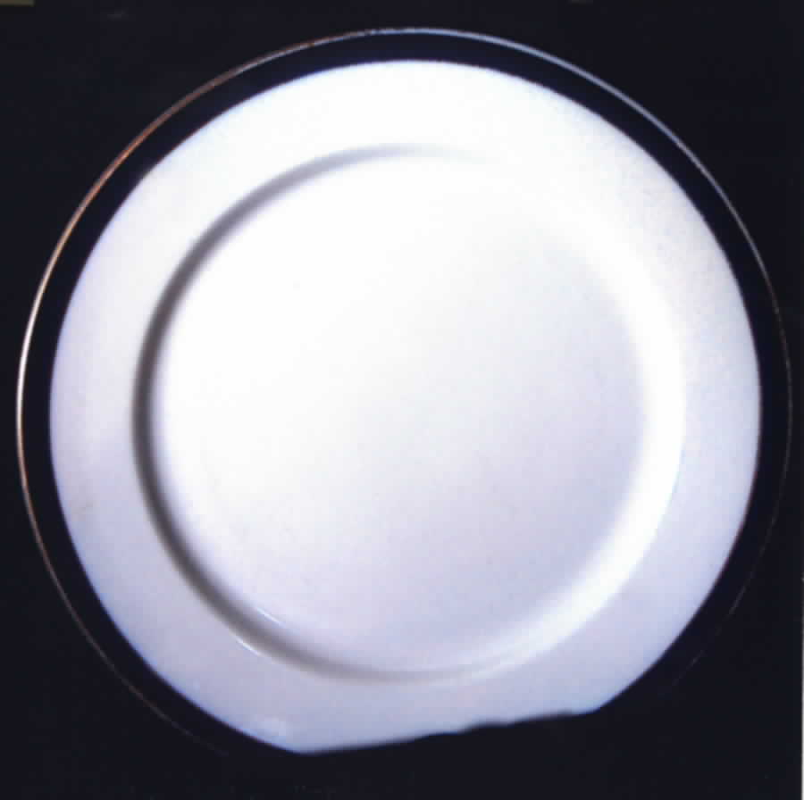 W820 Dinner Plate by Royal Worcester-1