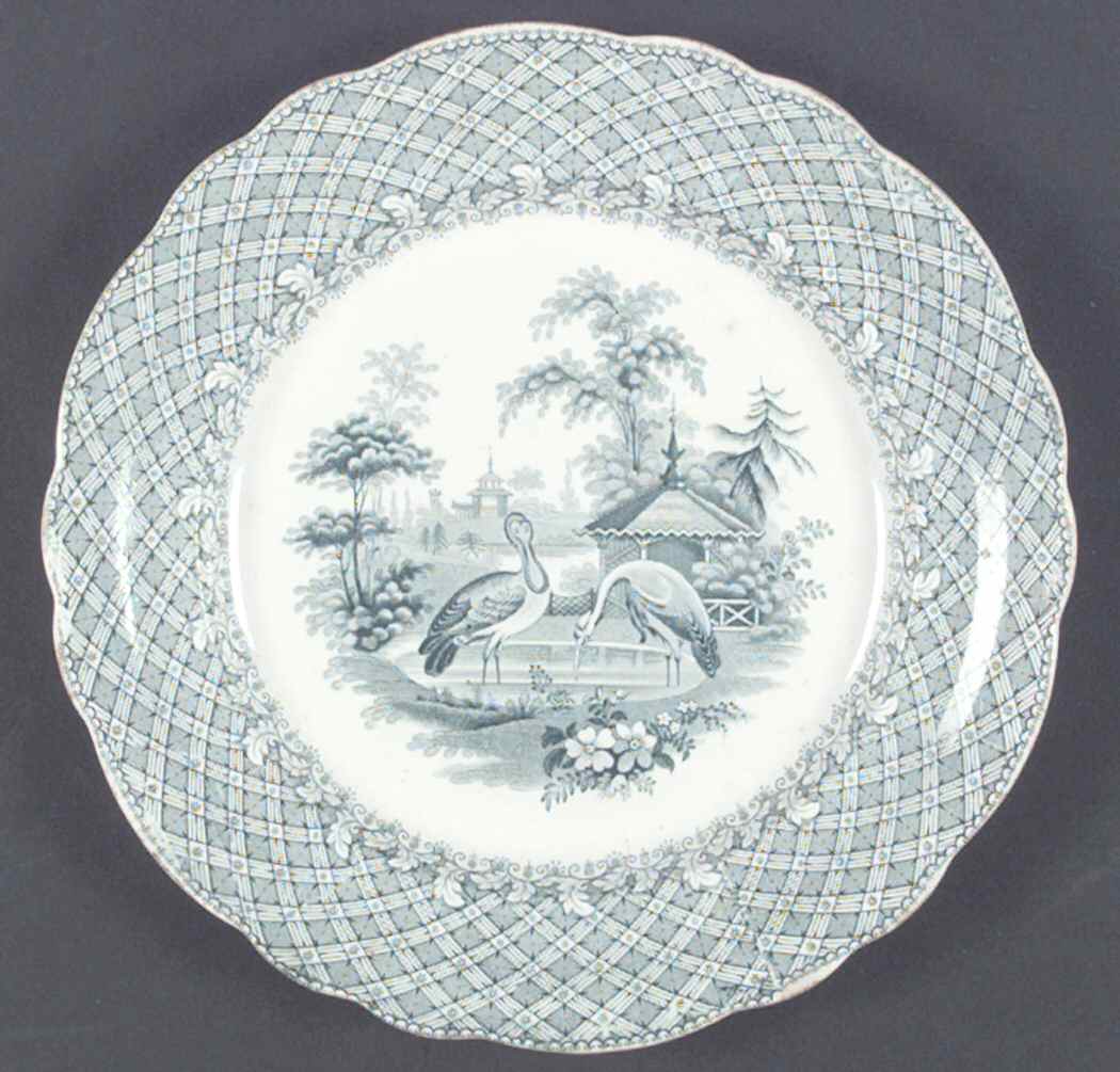 Zoological Teal Luncheon Plate by Robinson Wood & Brownf-1