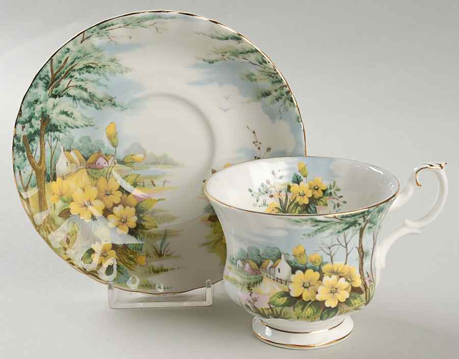 Country Scenes Footed Cup & Saucer Set by Royal Albert-1