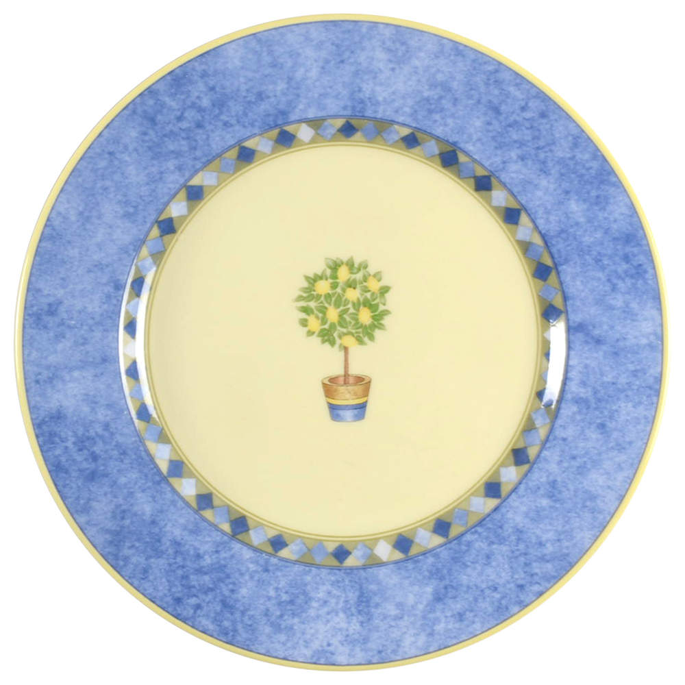 Carmina Salad Plate by Royal Doulton-1