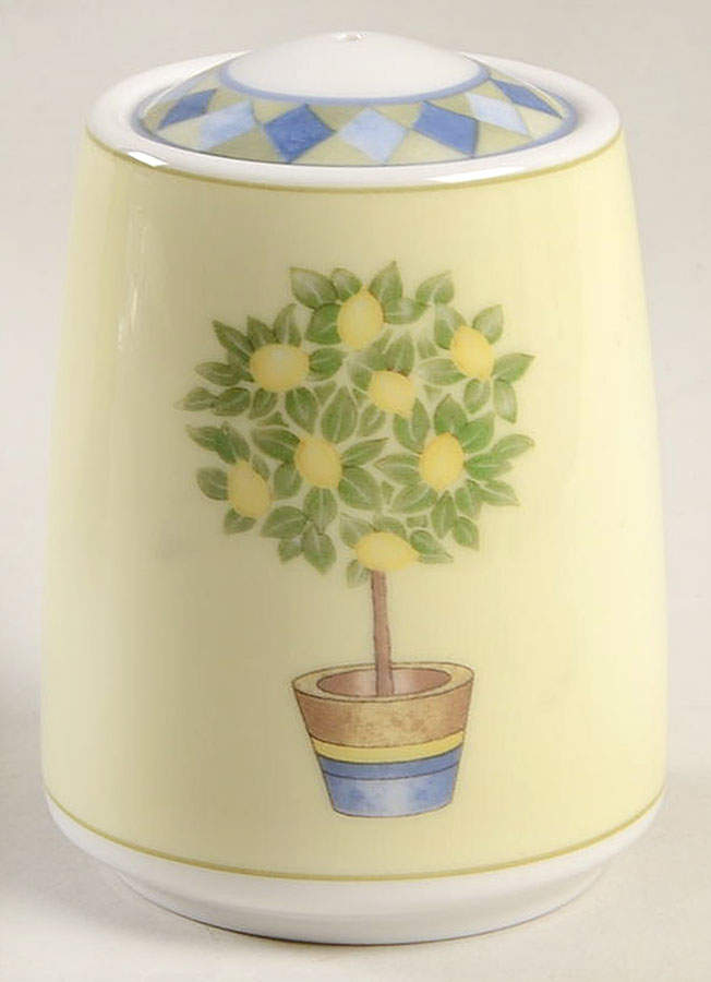 Carmina Salt Shaker by Royal Doulton-1