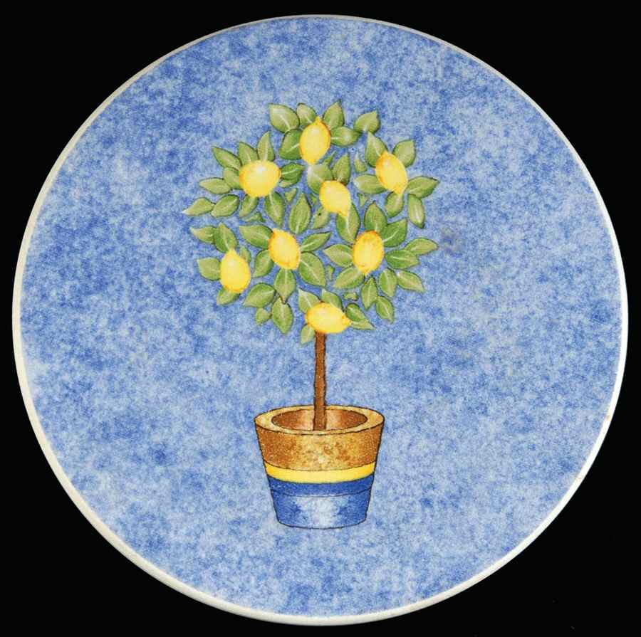 Carmina Thirsty Coaster by Royal Doulton-1