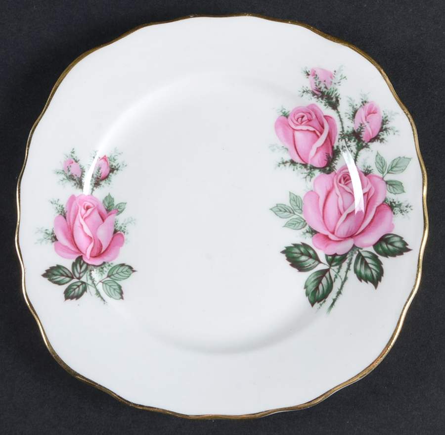 RVA23 Bread & Butter Plate by Royal Vale-1