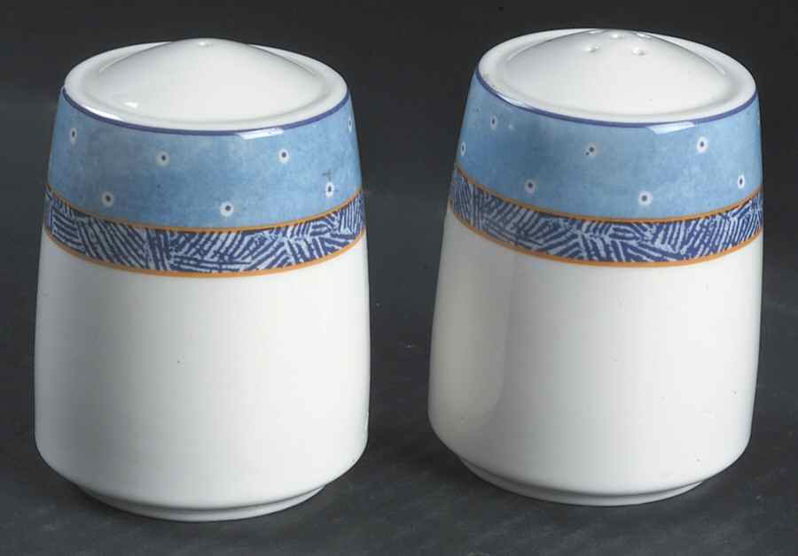 Denim Daisy Salt & Pepper Set by Royal Doulton-1