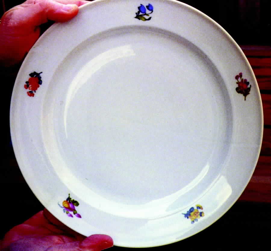 R730 Dinner Plate by Rosenthal - Continental-1
